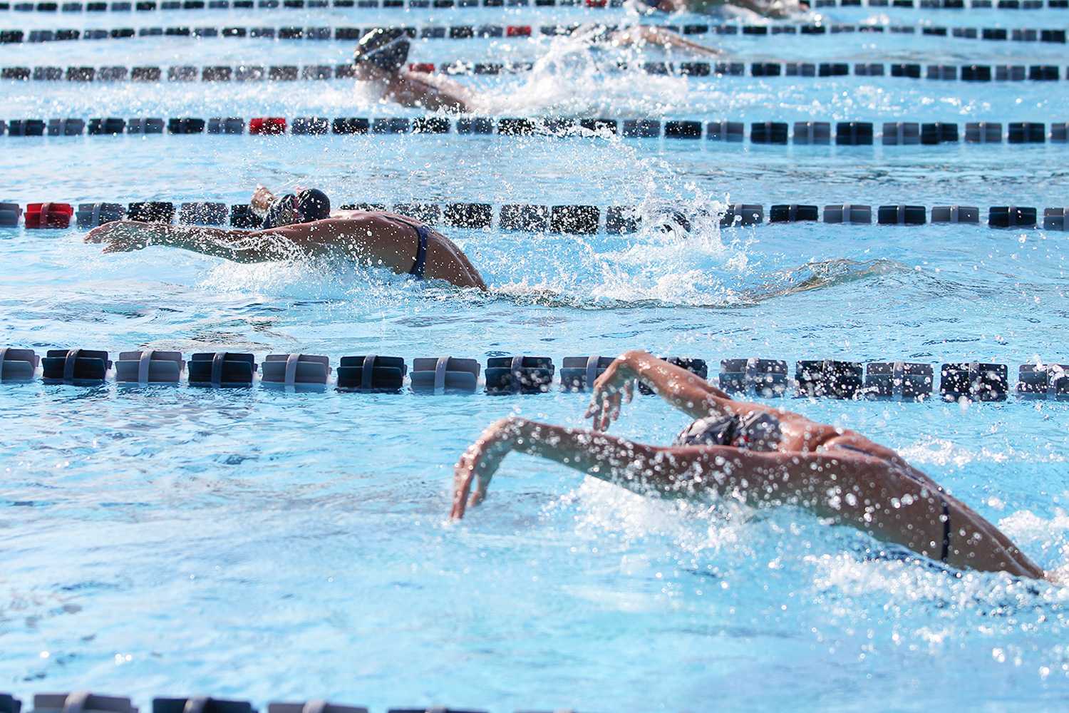 Swimmers from FAU and FIU compete during the men’s butterfly stroke leg.