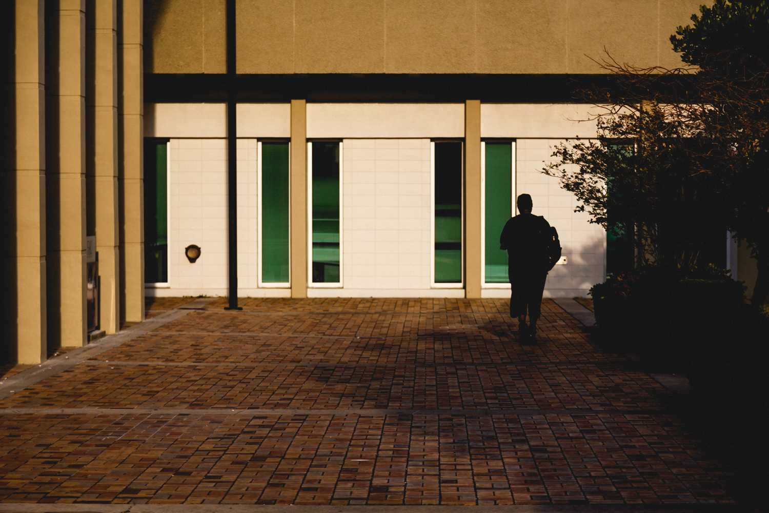 Silhouette of a student on campus. 
