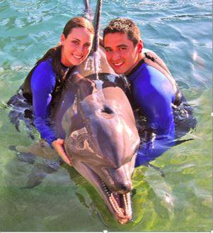The Dolphin Encounter is a two-hour adventure in shallow water. Photo Courtesy of the Miami Seaquarium Facebook page.