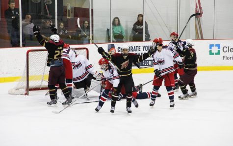 Florida State celebrates after scoring on FAU during Friday's 6-3 defeat. Hilary Webber | Staff Photographer