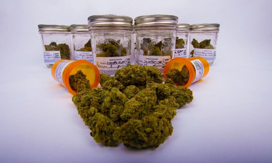 An FAU alum is using his business degree to open a school that cultivates medical marijuana.
