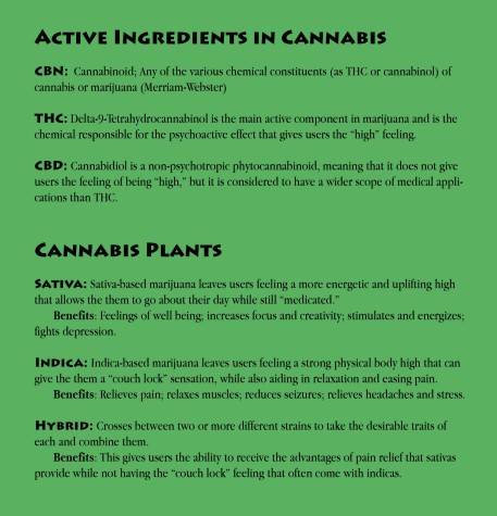 plants and benefits
