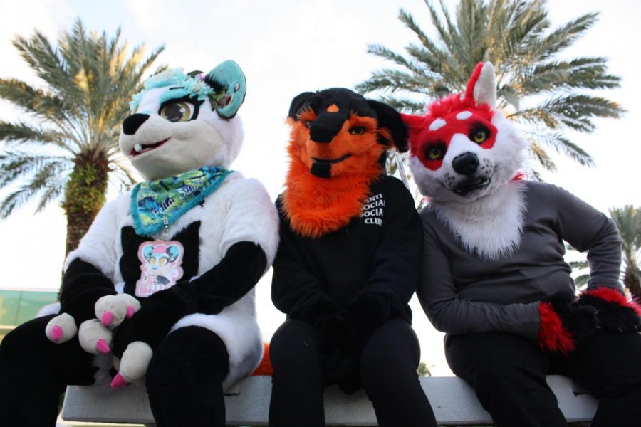 Three members of the Southeast Florida Furries, which recently peaked at 500 members online. Left to right: Amelia Gonzalez (fursona: Bella Sugar), Genna Webber (fursona: Zarø), Mario Rodriguez (fursona: Bark Dango. Photo by Kristen Grau