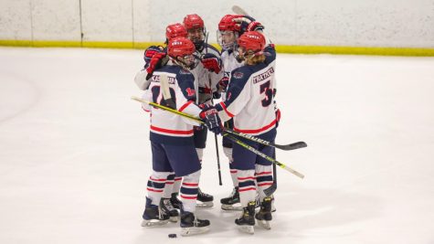 Photo of the FAU Hockey Club after a victory. 