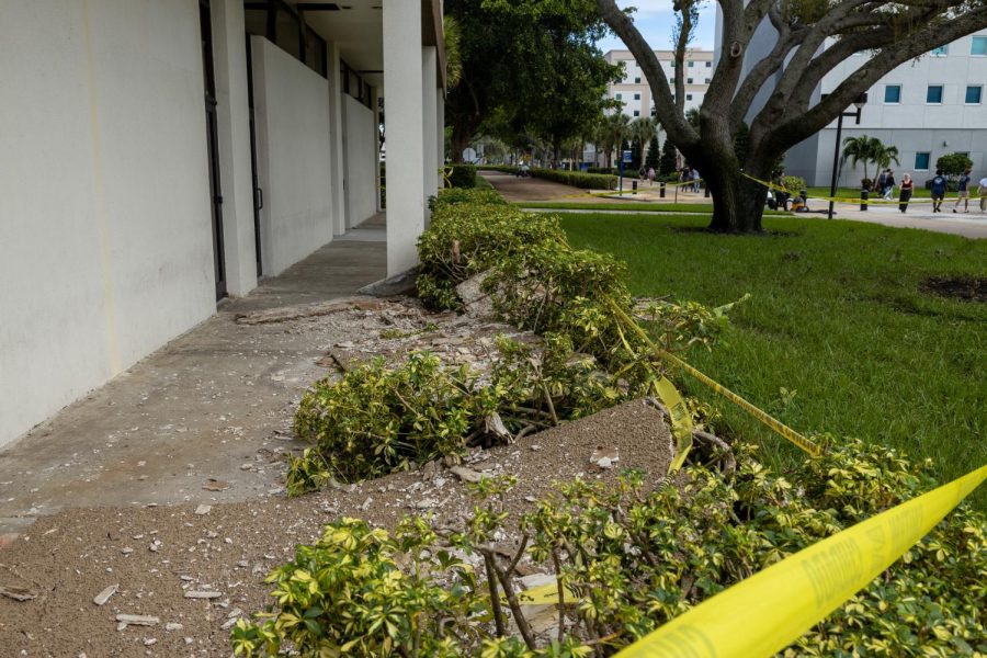 Fallen debris on campus after hurricane Ian.