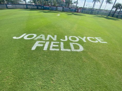 The outfield grass of the newly renamed Joan Joyce Field.