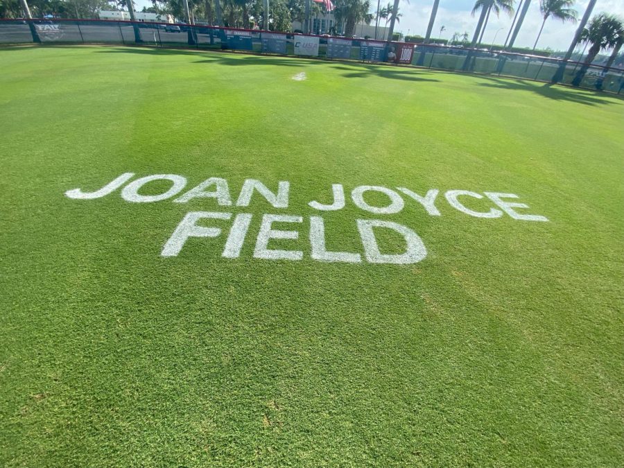 The+outfield+grass+of+the+newly+renamed+Joan+Joyce+Field.