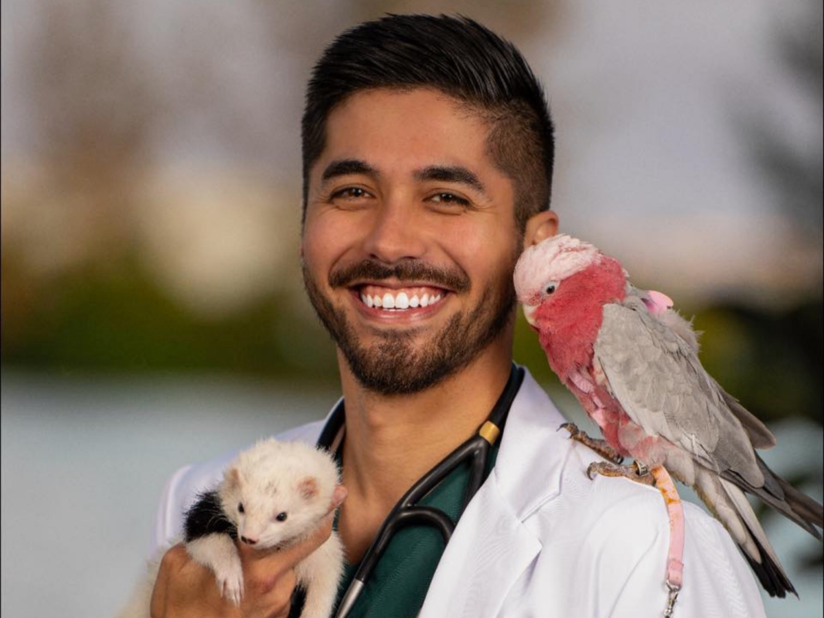 A photo of the suspect, Barion Madrigal, holding a ferret and a parrot perched on his right shoulder, showcasing his veterinary profession via his Facebook profile.